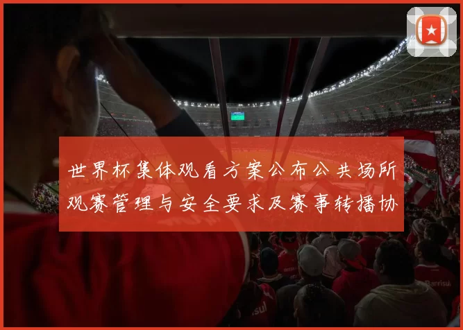 世界杯集体观看方案公布公共场所观赛管理与安全要求及赛事转播协调