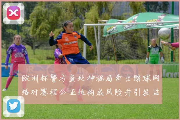 欧洲杯警方查处神棍局牵出赌球网络对赛程公正性构成风险并引发监管重视