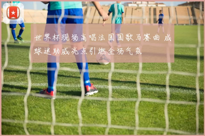 世界杯现场高唱法国国歌马赛曲 成球迷助威亮点引燃全场气氛