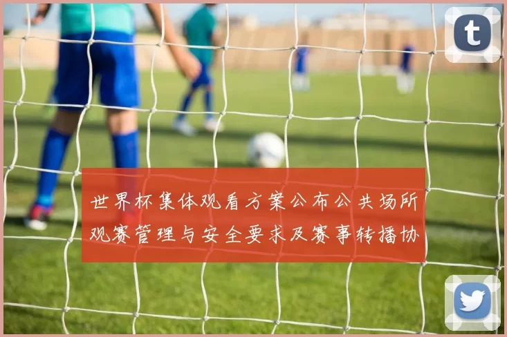 世界杯集体观看方案公布公共场所观赛管理与安全要求及赛事转播协调