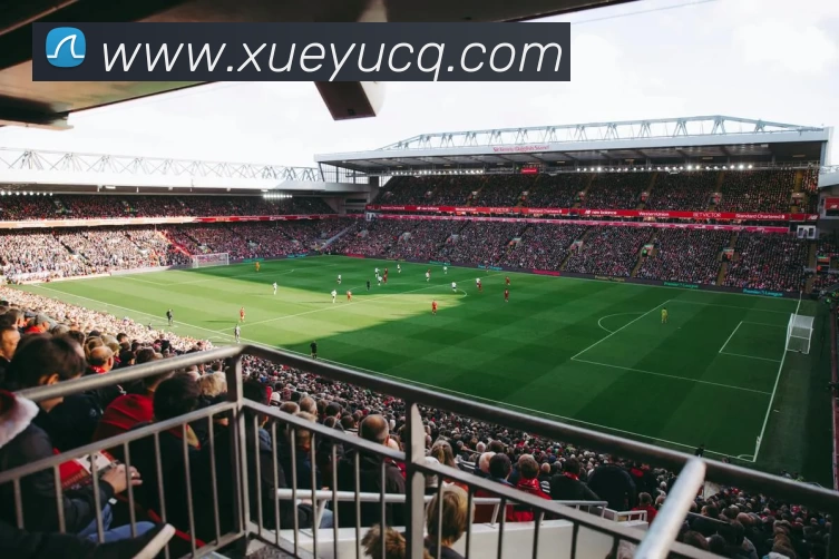 天下足球网官网首页官方发布本周欧冠焦点赛程与伤停信息详解